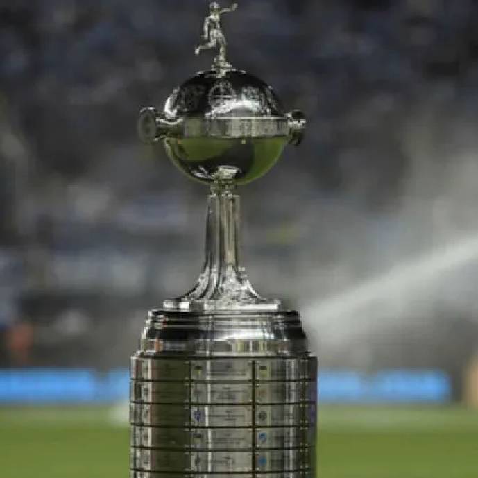 Foot : vers une finale 100 % brésilienne en Copa Libertadores